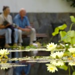 Private Rentenversicherung im Fokus